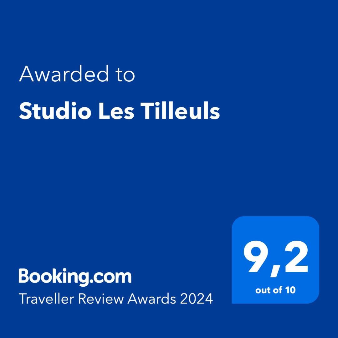 Studio Les Tilleuls Амбуаз Екстер'єр фото